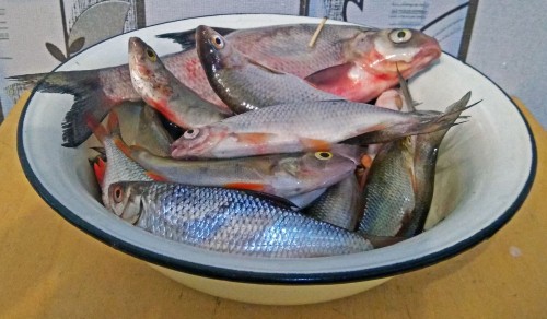 Les_10.05.2019-8.jpg
