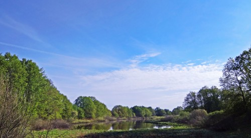 Les_12.05.2019-2.jpg