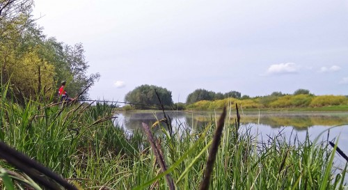 Les_12.05.2019-3.jpg