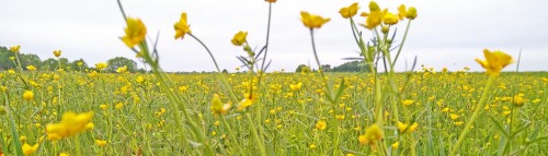 Les_12.05.2019-7.jpg