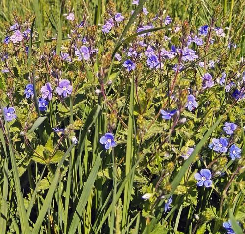 Les_19.05.2019-1.jpg