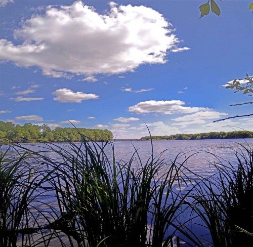 Les_19.05.2019-4.jpg