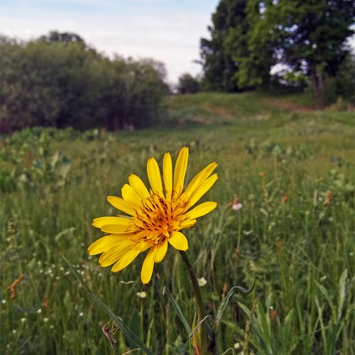 Les_22.05.2019-1.jpg