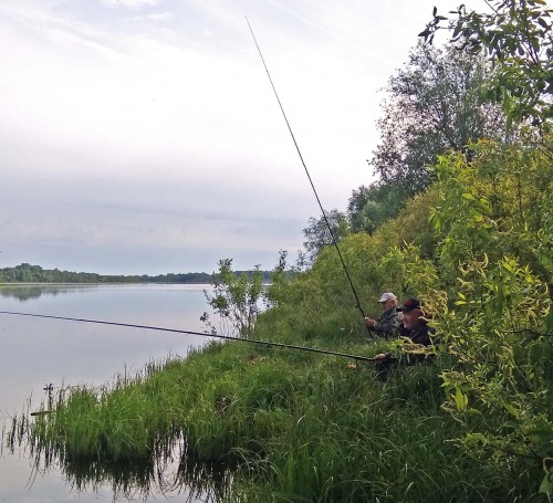 Les_22.05.2019-2.jpg