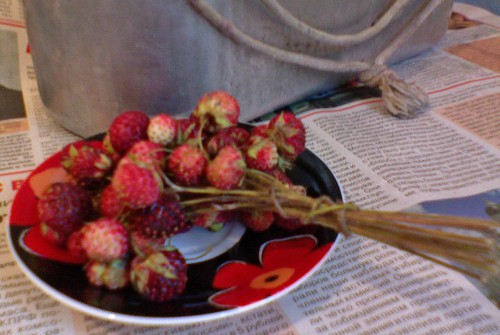 Klubnika_11072011.jpg