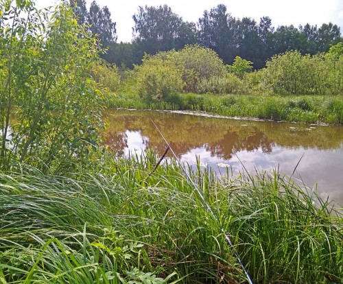 Les_27.05.2019-2.jpg