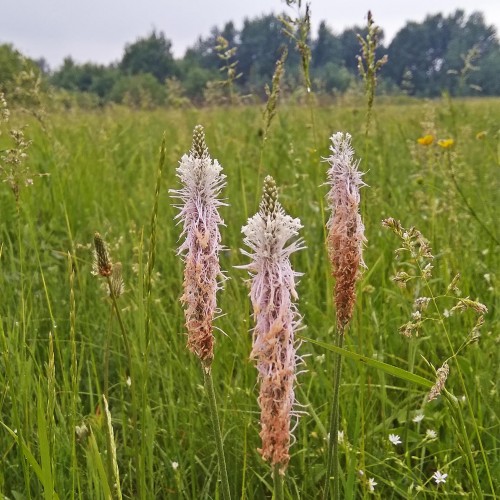 Les_01.06.2019-2.jpg