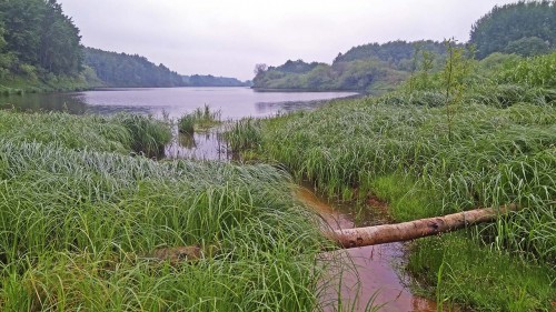 Les_01.06.2019-3.jpg