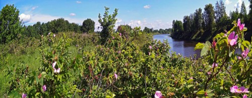 Les_03.06.2019-2.jpg