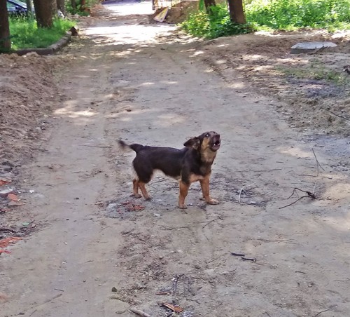 Les_08.06.2019-4.jpg