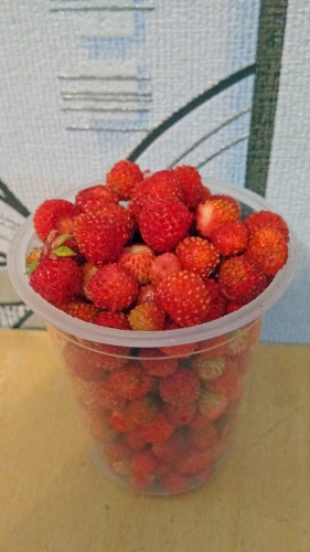 Les_12.06.2019-4.jpg