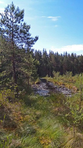 Les_14.06.2019-3.jpg