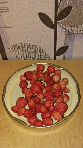 Les_14.06.2019-4.jpg