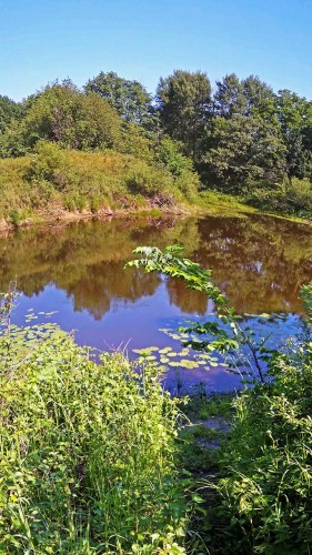 Les_19.06.2019-2.jpg