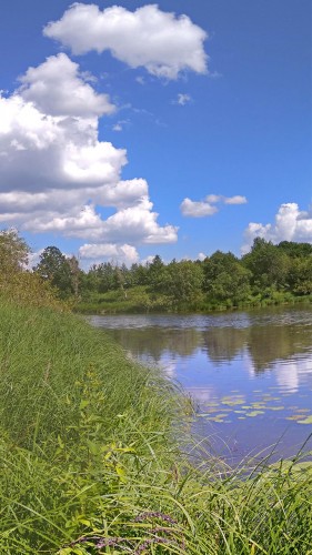 Les_19.06.2019-3.jpg