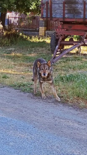 Les_19.06.2019-5.jpg