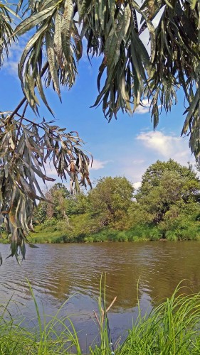 Les_21.06.2019-4.jpg