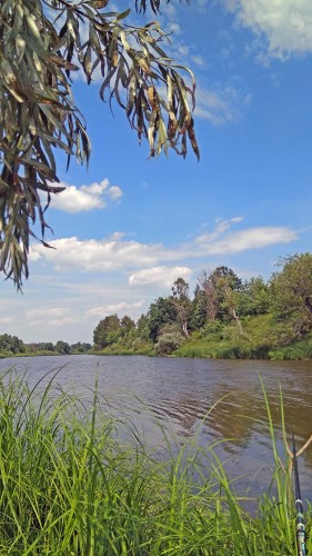 Les_21.06.2019-5.jpg
