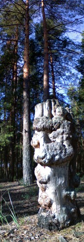 Malina_15072011-2.jpg