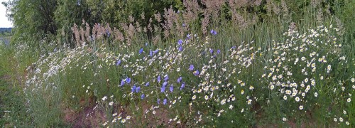 Les_23.06.2019-1.jpg