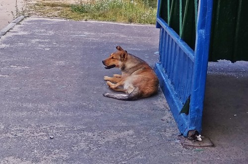 Les_23.06.2019-3.jpg
