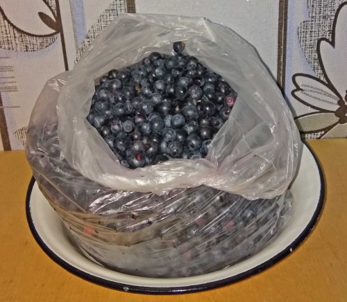 Les_24.06.2019-2.jpg