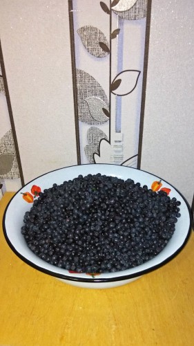 Les_26.06.2019-3.jpg