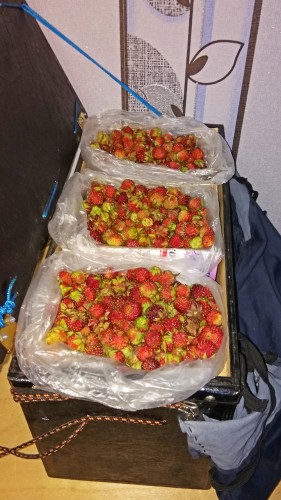 Les_01.07.2019-2.jpg