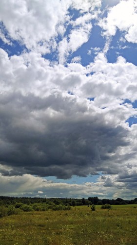 Les_04.07.2019-3.jpg