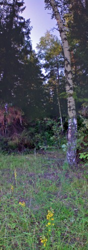 Malina_27072011-3.jpg