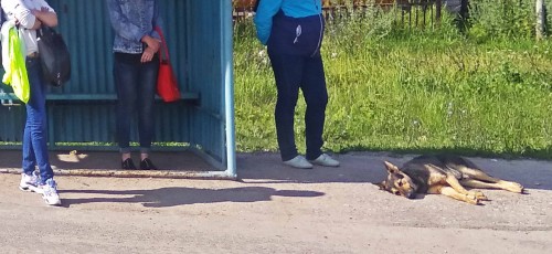 Les_12.07.2019-3.jpg