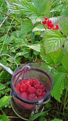 Les_19.07.2019-3.jpg