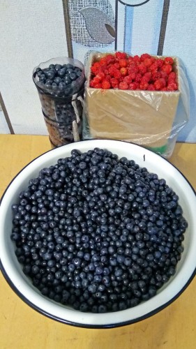 Les_19.07.2019-4.jpg