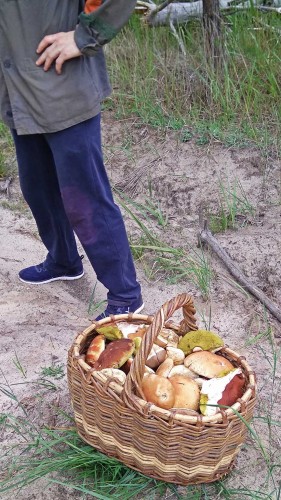 Les_19.07.2019-6.jpg