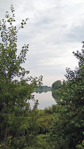 Les_25.07.2019-2.jpg