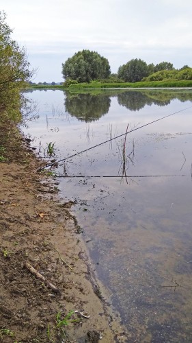 Les_25.07.2019-3.jpg
