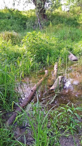 Les_27.07.2019-3.jpg