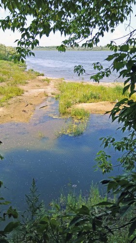 Les_27.07.2019-4.jpg