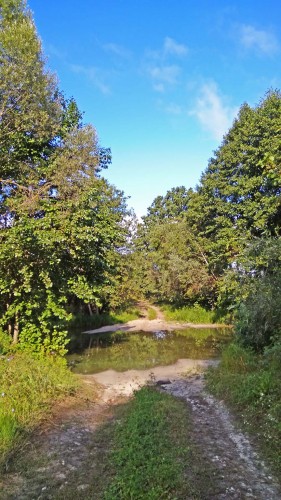 Les_01.08.2019-1.jpg