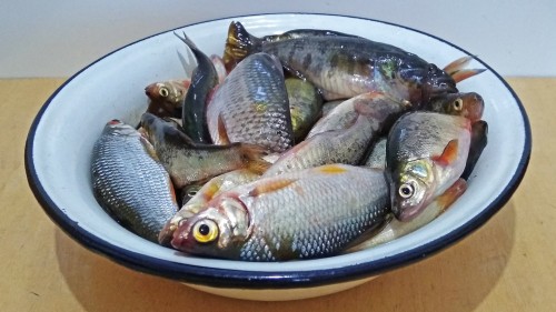 Les_01.08.2019-3.jpg