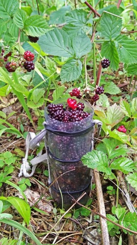 Les_05.08.2019-2.jpg