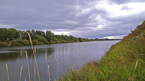 Les_06.08.2019-4.jpg