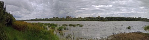 Les_09.08.2019-1.jpg