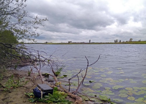 Les_09.08.2019-3.jpg