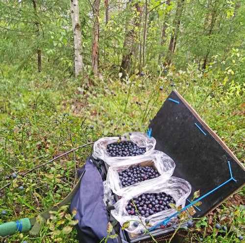 Les_11.08.2019-3.jpg