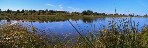 Les_13.08.2019-1.jpg