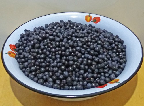 Les_15.08.2019-4.jpg