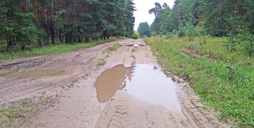Les_17.08.2019-1.jpg