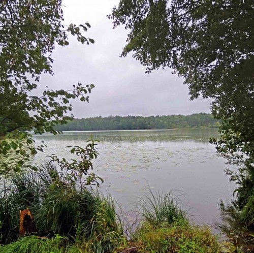 Les_17.08.2019-3.jpg