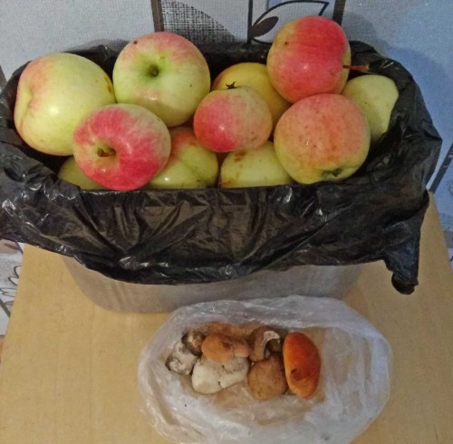 Les_17.08.2019-6.jpg